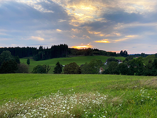 Ausblick Galluskapelle